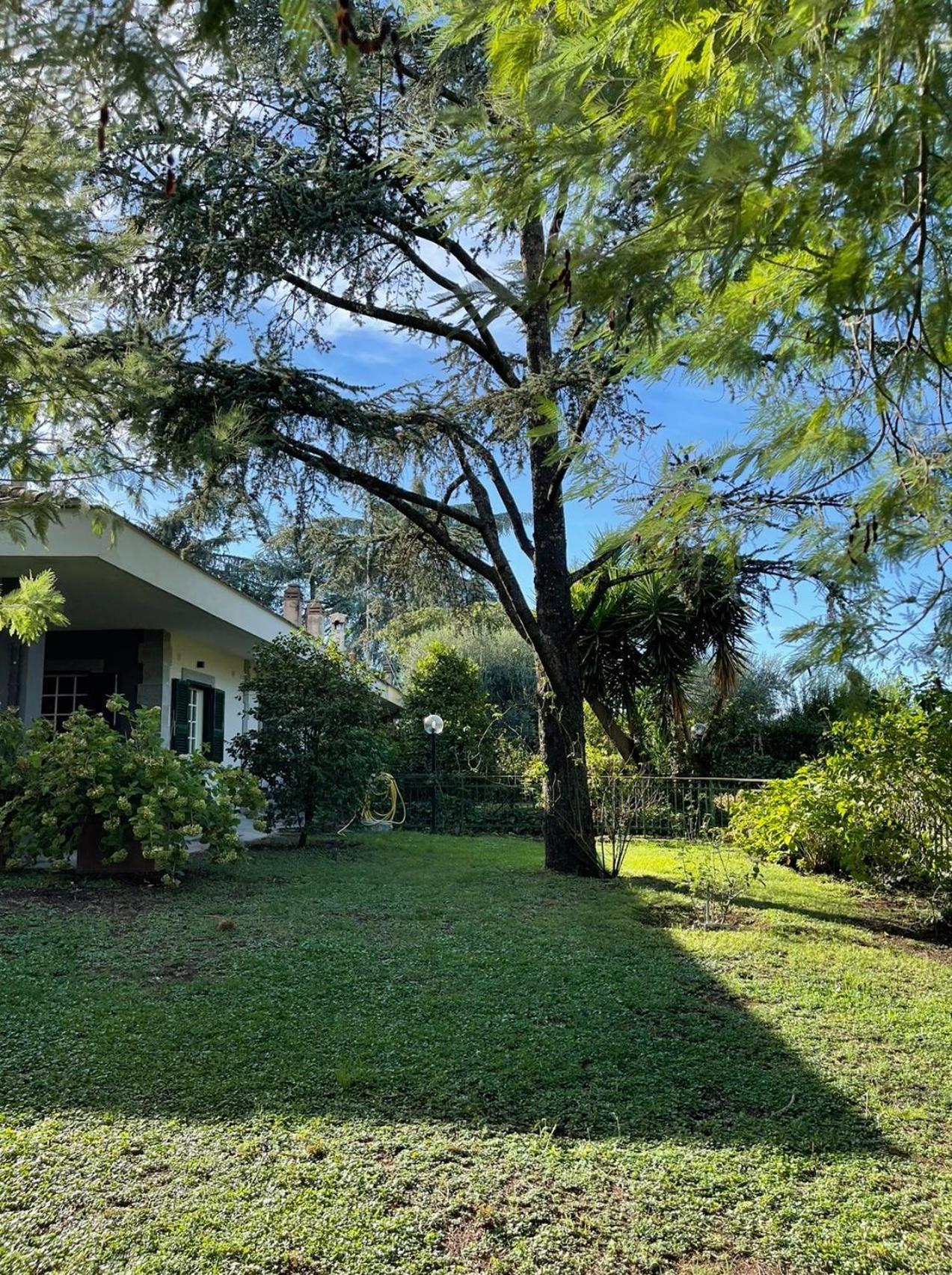 Delightful Stylish House With Private Garden Close To Downtown Vakantiehuis *